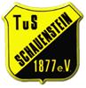 sg-schauenstein-2-spvgg-selbitz-2-logo